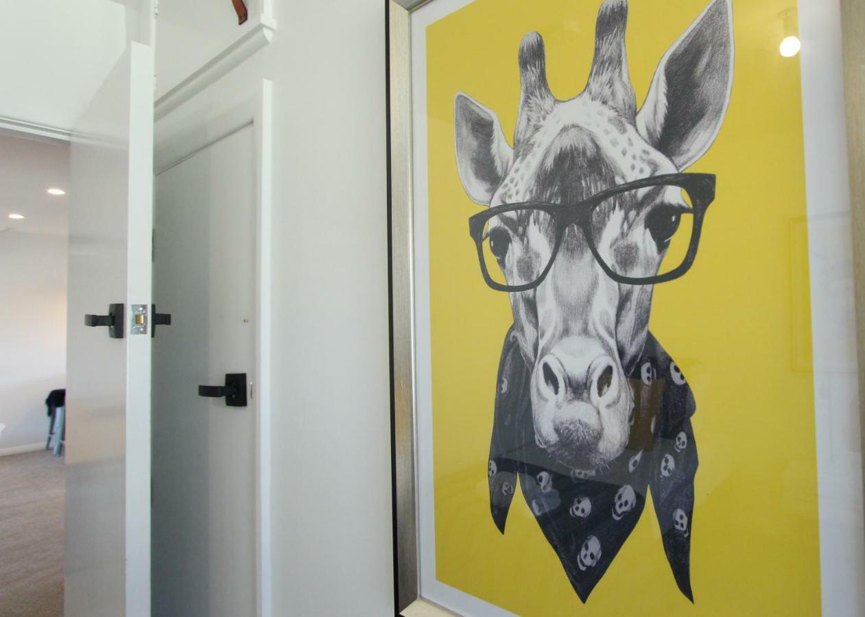2 - Handsome And Sunkissed On The Doorstep To Wanaka Extérieur photo